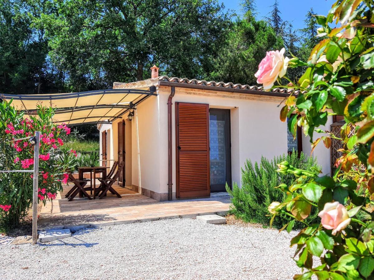 Agriturismo Rosa Antica Monte San Vito Eksteriør billede