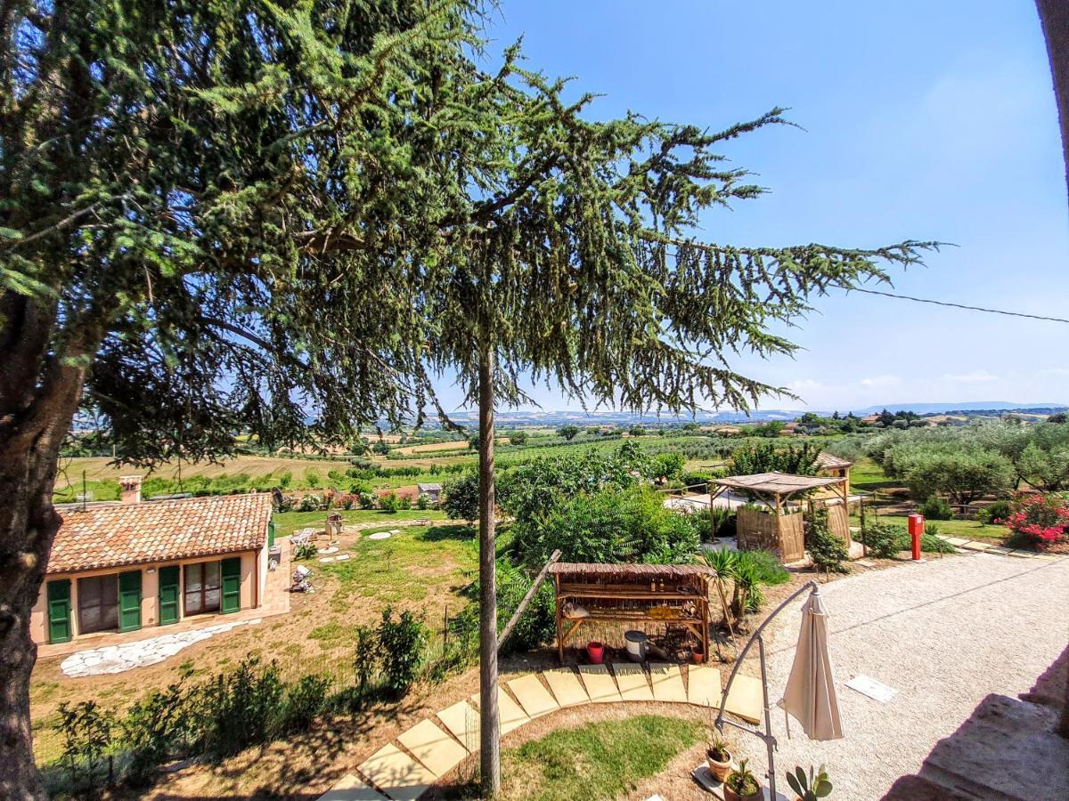 Agriturismo Rosa Antica Monte San Vito Eksteriør billede