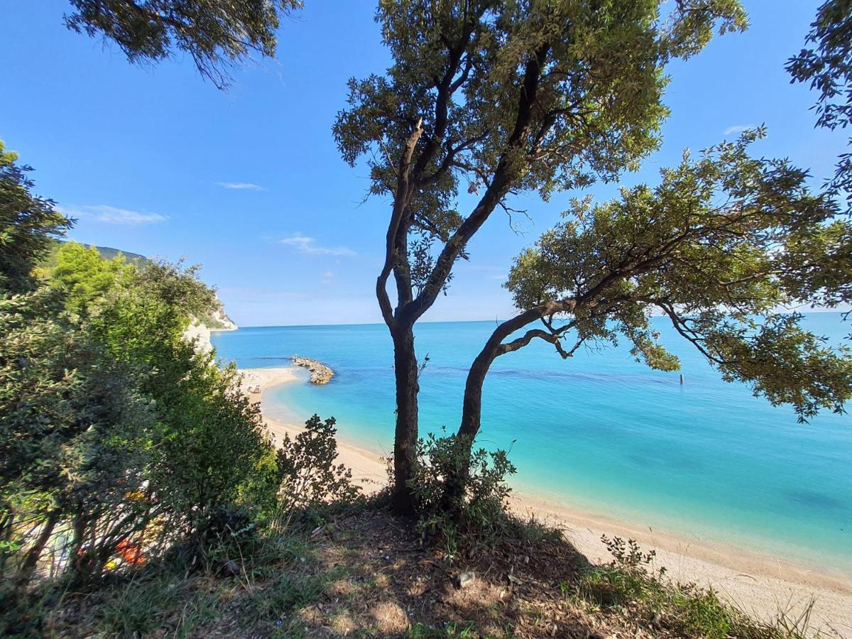 Agriturismo Rosa Antica Monte San Vito Eksteriør billede