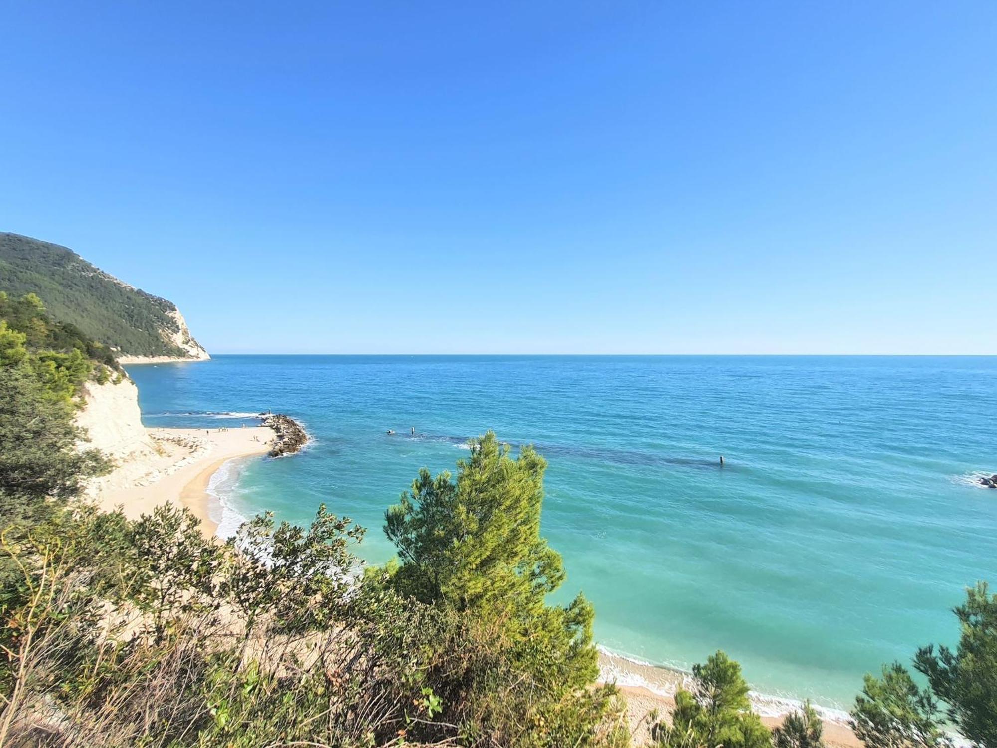Agriturismo Rosa Antica Monte San Vito Eksteriør billede