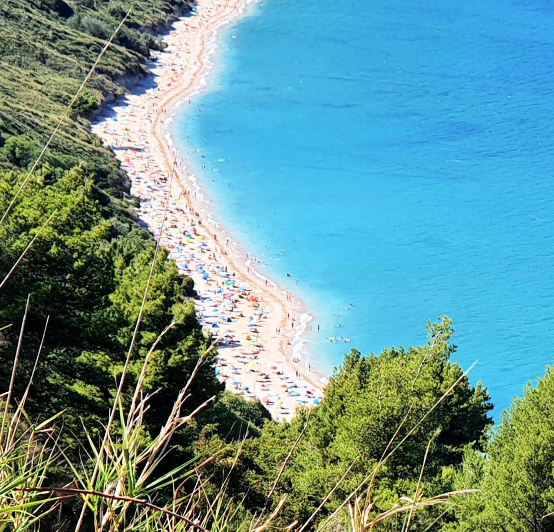 Agriturismo Rosa Antica Monte San Vito Eksteriør billede