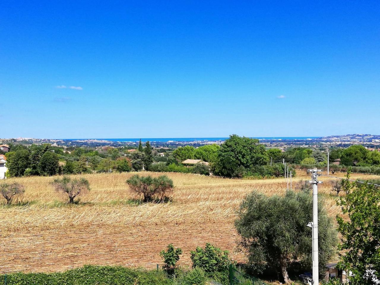 Agriturismo Rosa Antica Monte San Vito Eksteriør billede
